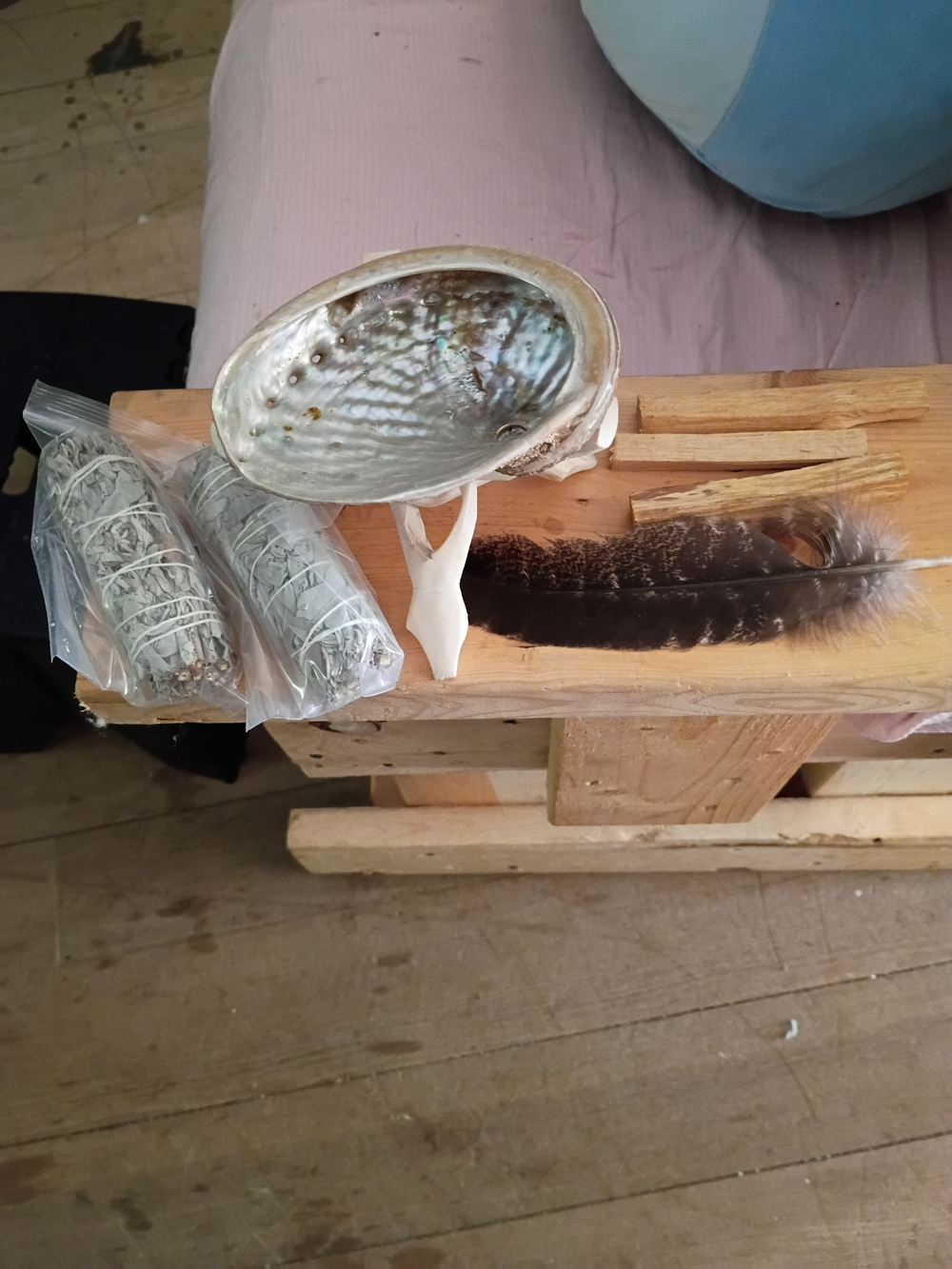 Handheld Abalone Shell Smudging Kit with White Sage and Feather